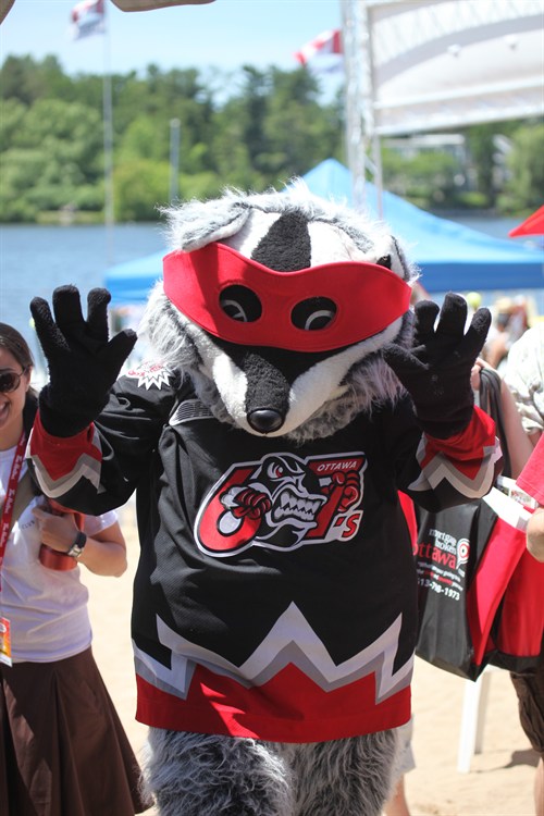 riley racoon